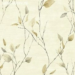 Обои KT Exclusive  Sage II