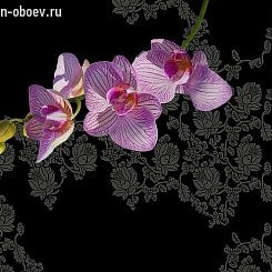 Фотообои Wall&deco Gio Pagani 10