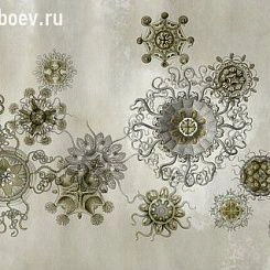 Фотообои Wall&deco Wet 15