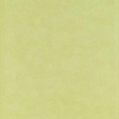 Обои Sanderson Parchment Flowers