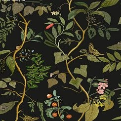 Обои Coordonne Maximalism