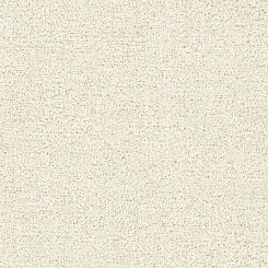 Обои Zoffany Folio