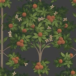 Обои Cole & Son Seville