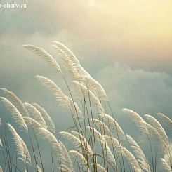 Фрески/Панно PINEGIN Цветы