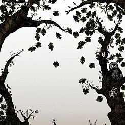 Обои Mr Perswall Creativity & Photo Art