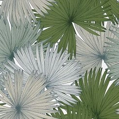 Обои Caselio Jungle