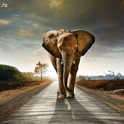 Фотообои ID Wall NO.2