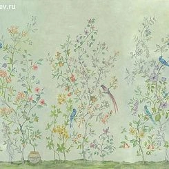 Обои Coordonne Metamorphosis