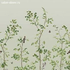 Обои Little Greene National Trust Papers III
