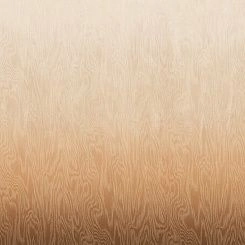 Обои Khroma Wall Designs IV