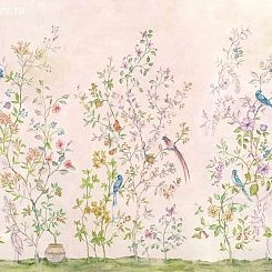 Обои Coordonne Metamorphosis