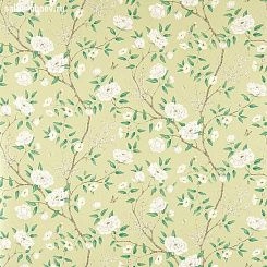 Обои Zoffany Woodville Papers