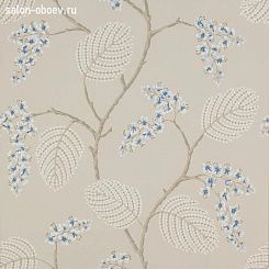 Обои Colefax and Fowler Jardine Florals