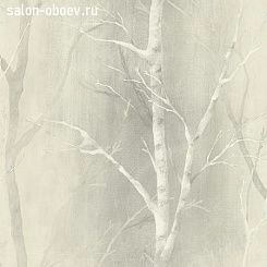 Обои KT Exclusive  Sage II