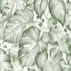 Обои AS Creation Colibri