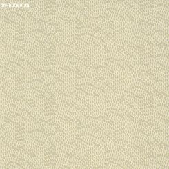 Обои Paint & Paper Library Botany