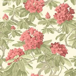 Обои Cole & Son Folie