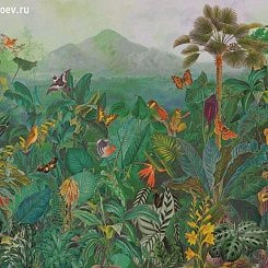 Обои Omexco Birds of Paradise