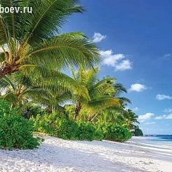 Обои KOMAR KOMAR Фотообои