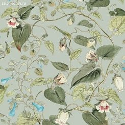 Обои York Blooms Second Edition Resource Library