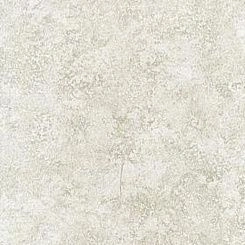 Обои Prestigious Textiles Vivo