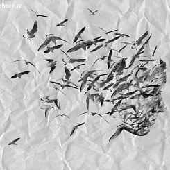 Фотообои Wall Street Grayscale