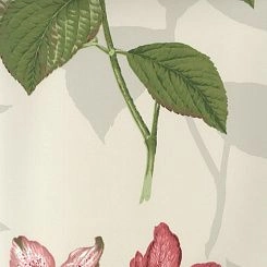 Обои Pierre Frey Boussac Wallpapers I