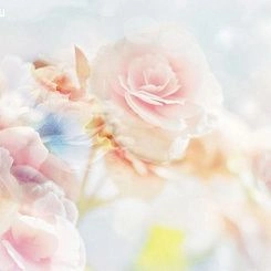 Обои For Wall Фотообои