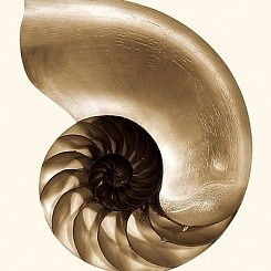 Фотообои Wall&deco Life 10