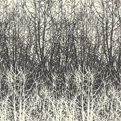 Обои Schumacher Modern Nature