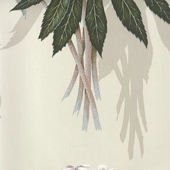 Обои Pierre Frey Boussac Wallpapers I