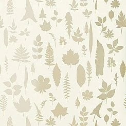 Обои Schumacher Modern Nature