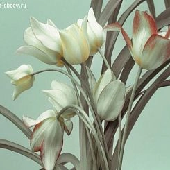 Фрески/Панно PINEGIN Цветы