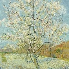 Обои BN Van Gogh