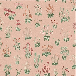 Обои Little Greene National Trust Papers 2