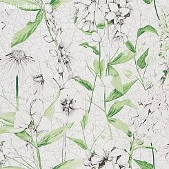 Обои Designers Guild Mandora