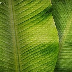Фрески/Панно Affresco Современный стиль