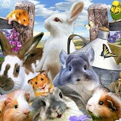 Обои For Wall Фотообои