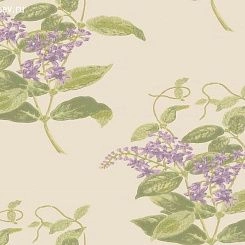 Обои Cole & Son Archive Anthology