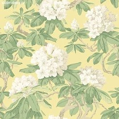 Обои Cole & Son Folie