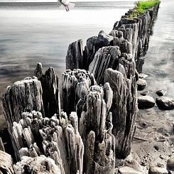 Фотообои ID Wall NO.1