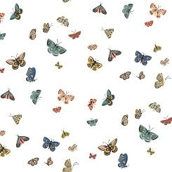 Обои York Rifle Paper Co 3rd Edition