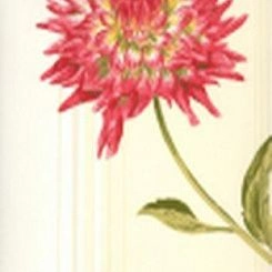 Обои Antonina Vella Botanica