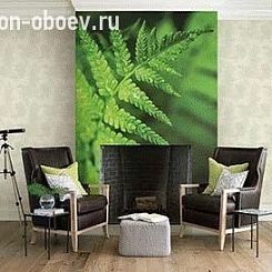 Обои KT Exclusive  Sage II