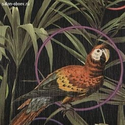 Обои Alessandro Allori Dolce Vita