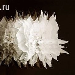 Фотообои Wall&deco Life 15