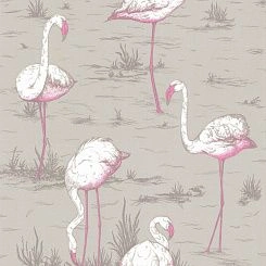 Обои Cole & Son The Contemporary Collection