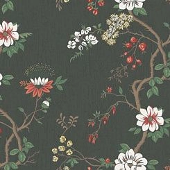 Обои Cole & Son Botanical Botanica