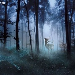 Фрески/Панно ORTOGRAF