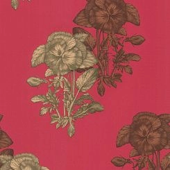Обои Cole & Son Fornasetti Collection